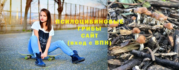 ешки Алексеевка