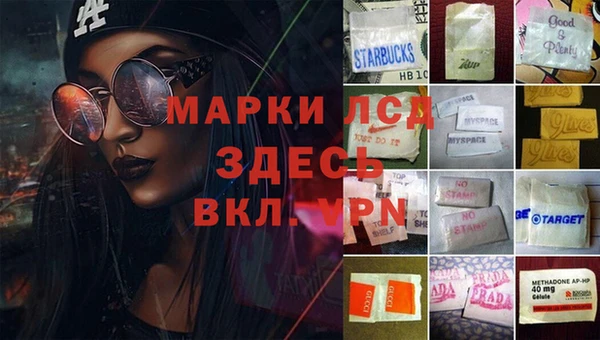 гидра Нея